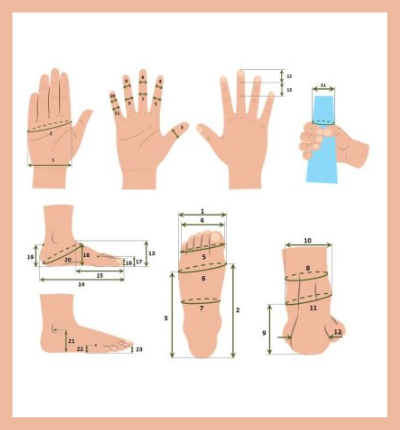 eurohandfeet-estudio-de-las-caracteristicas-antropometricas-de-la-poblacion-infantil-europea-para-mejorar-la-seguridad-ergonomia-y-psicomotricidad-de-productos-para-la-infancia