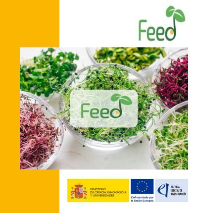 project-feed